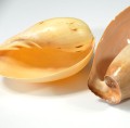 muszle-lak7.jpg