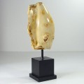 glowa3.jpg