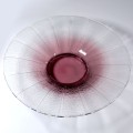 schneider4.jpg