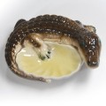 krokodyl2.jpg