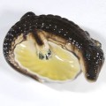 krokodyl4.jpg