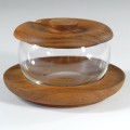 esa-teak3.jpg