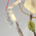 lampa-pauline-h--paris7.jpg
