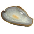 patera-agat1.jpg