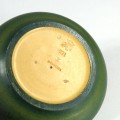 ipsen-wrona6.jpg