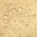 groeneveldt91.jpg