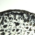 glineur4.jpg