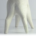 kon-rigon9.jpg