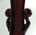 tarnowiec-fioletowy6.jpg