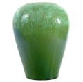 zielony-wazon1.jpg