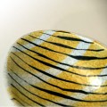Paterka ceramiczna w paski.jpg
